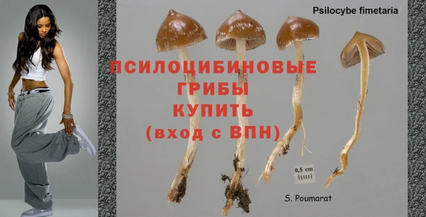 спиды Бородино