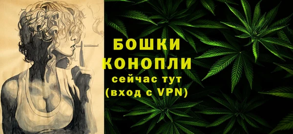 спиды Бородино