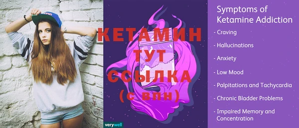 спиды Бородино